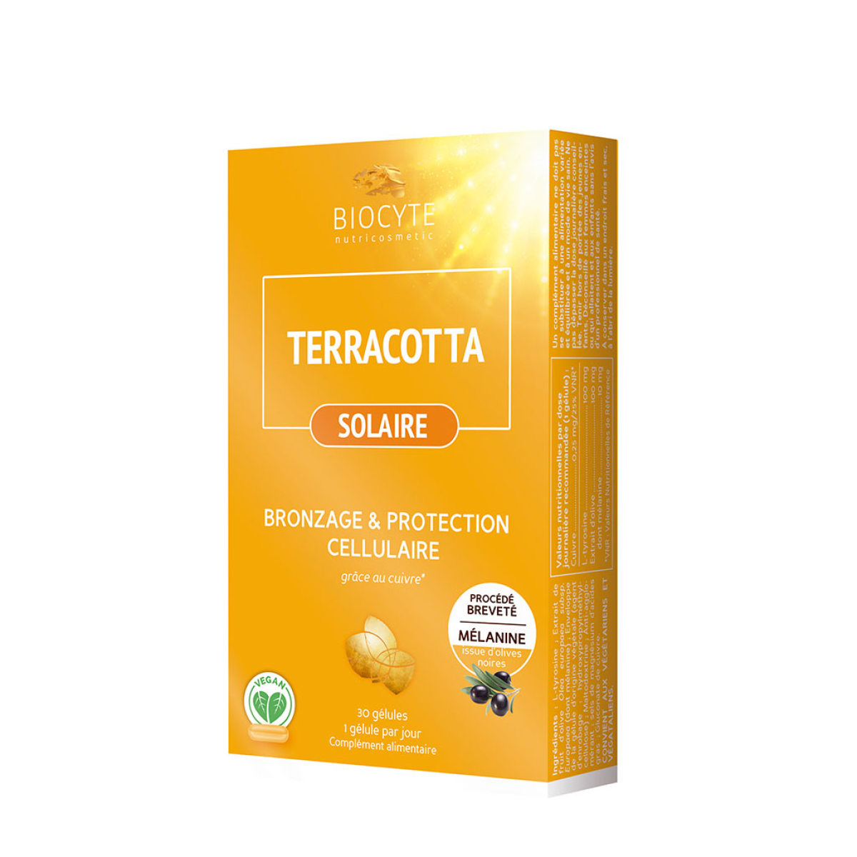 Terracotta Cockt Solar Comp X30 comps